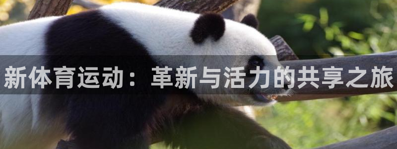 J9官网下载平台注册流程图：新体育运动：革新与活力的