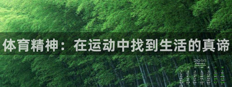 J9官网下载招商电话号码是多少：体育精神：在运动中找