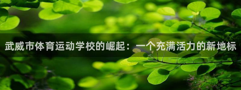 J9官方正版app科技：武威市体育运动学校的崛起：一
