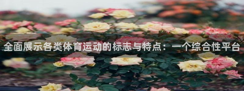J9官方正版app娱乐下载：全面展示各类体育运动的标