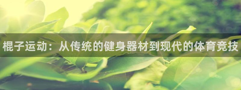 J9官网下载平台注册：棍子运动：从传统的健身器材到现