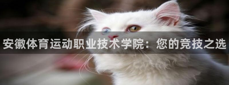 J9官方正版app集团：安徽体育运动职业技术学院：您
