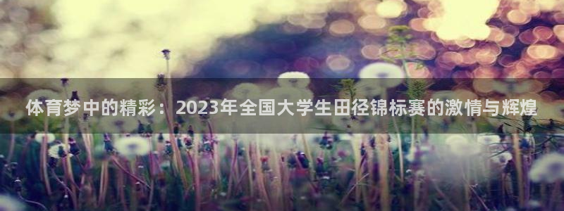 J9官网下载注册：体育梦中的精彩：2023年全国大学
