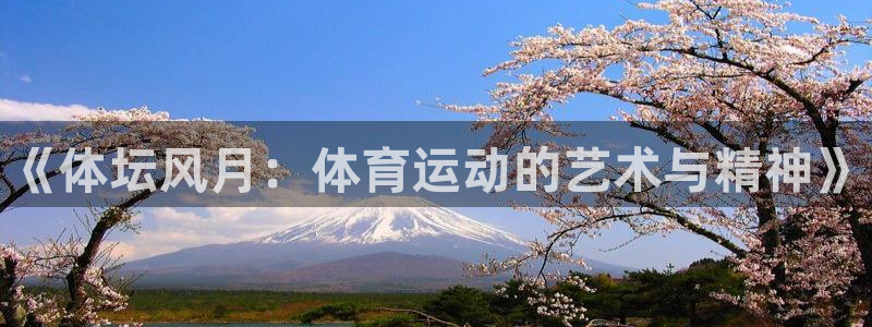 J9官网下载招商电话号码查询是多少：《体坛风月：体育