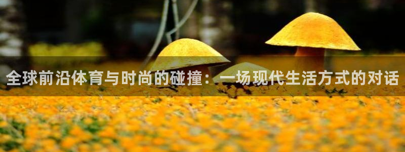 J9官方正版app娱乐是那个系列的台子：全球前沿体育