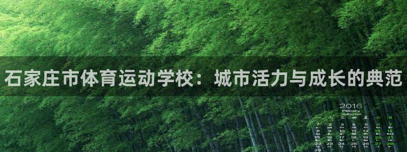 J9官网下载平台是正规平台吗知乎：石家庄市体育运动学
