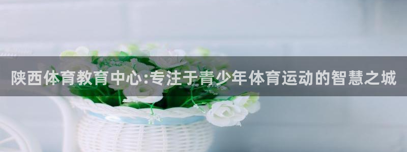 J9官网下载平台注册要钱吗：陕西体育教育中心:专注于