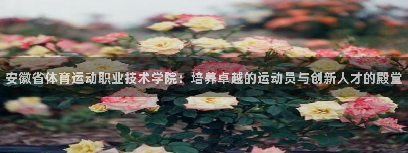 J9官方正版app娱乐平台：安徽省体育运动职业技术学