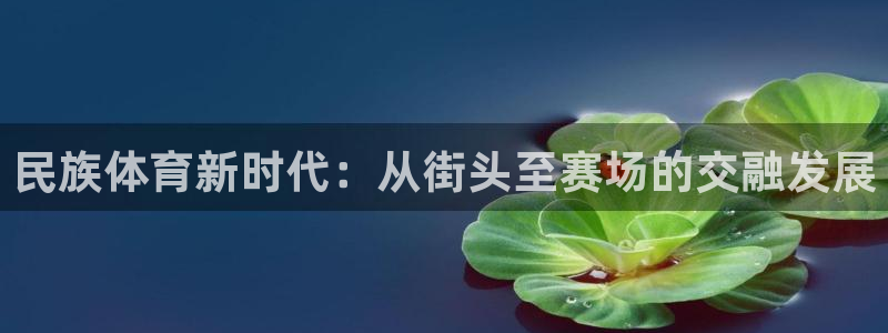 J9官方正版app神州：民族体育新时代：从街头至赛场的交融发