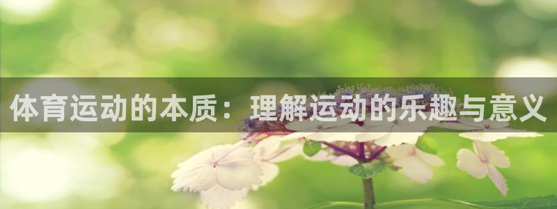 J9官方正版app五金厂：体育运动的本质：理解运动的乐趣与意