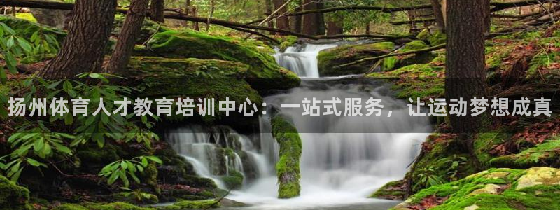 J9官方正版app官方