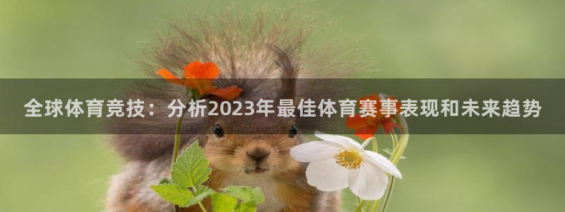 J9官方正版app娱乐首页网站大全：全球体育竞技：分析202