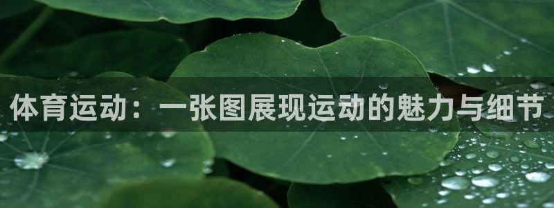 J9官网下载开户