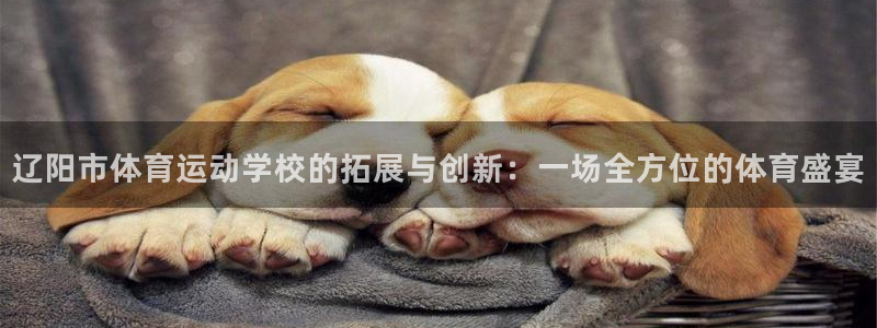 J9官网下载招商：辽阳市体育运动学校的拓展与创新：一