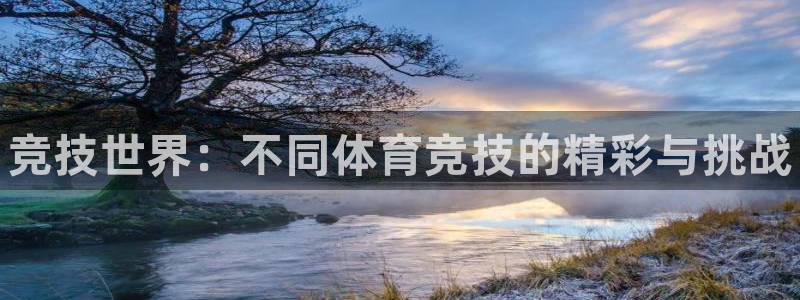 J9官网下载招商电话地址：竞技世界：不同体育竞技的精彩与挑战