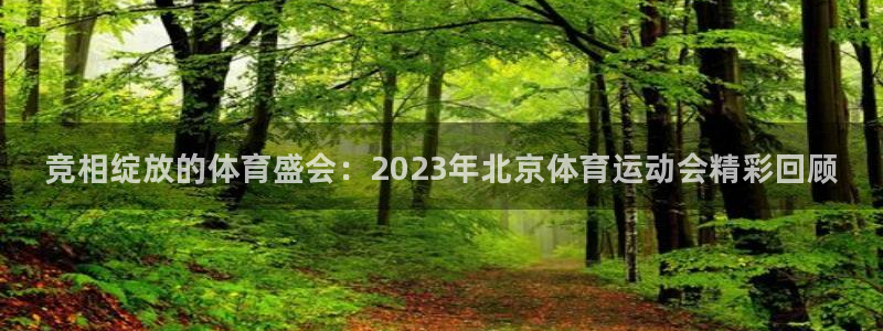 J9官方正版app科技：竞相绽放的体育盛会：2023