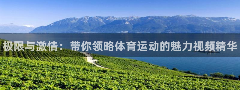 J9官网下载是干嘛的公司