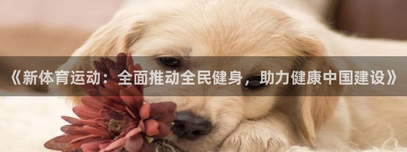 J9官网下载平台注册：《新体育运动：全面推动全民健身，助力健