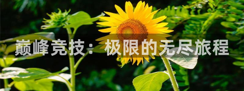 J9官网下载招商电话号码是多少号