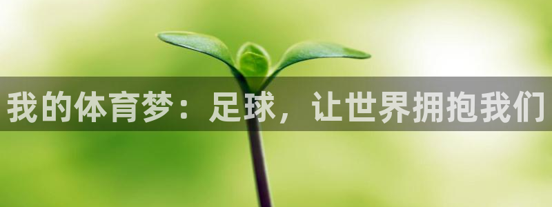 J9官网下载招商电话号码查询是多少