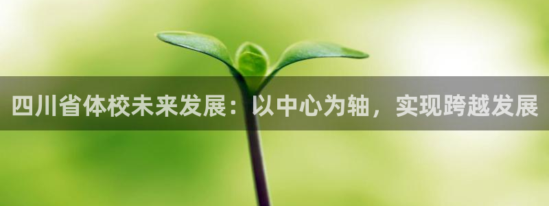 J9官网下载平台注册要钱吗安全吗：四川省体校未来发展：以中心