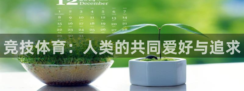 德国J9官方正版app集团：竞技体育：人类的共同爱好与追求