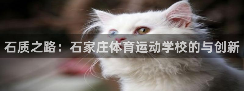 J9官方正版app娱乐下载