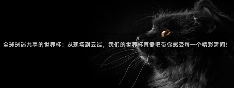 nba直播鲸鱼：全球球迷共享的世界杯：从现场到云端，我们的世界杯直播吧带你感受每一个精彩瞬间！