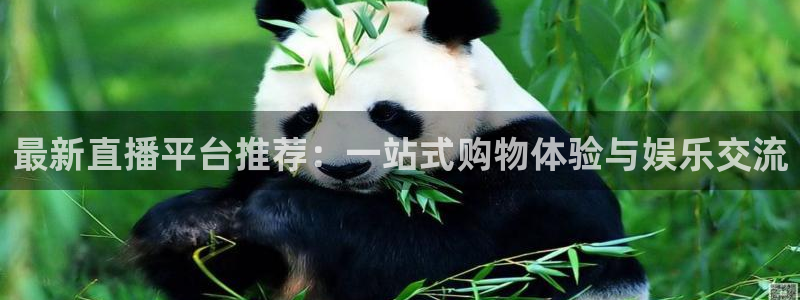 鲸鱼体育网址是什么：最新直播平台推荐：一站式购物体验与娱乐交流