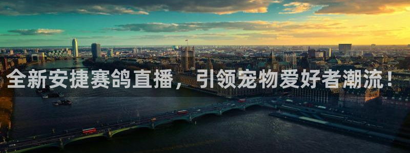 鲸鱼体育怎么看直播：全新安捷赛鸽直播，引领宠物爱好者潮流！