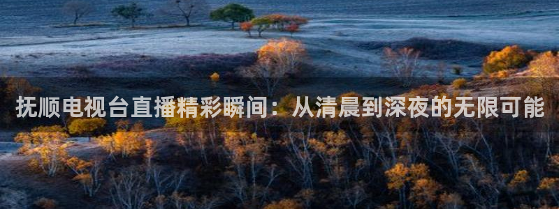 鲸鱼体育tv送红红单v3.红单足球.top：抚顺电视台直播精彩瞬间：从清晨到深夜的无限可能