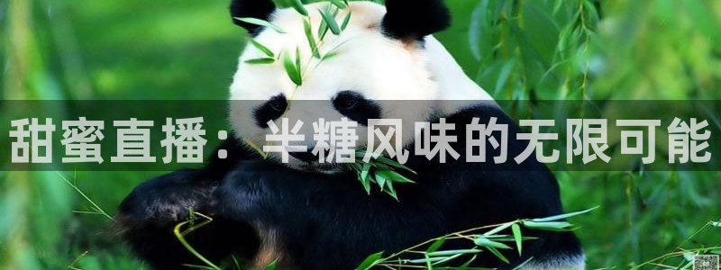 鲸鱼体育tv直播：甜蜜直播：半糖风味的无限可能