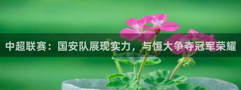 鲸鱼体育app官方下载最新版：中超联赛：国安队展现实力，与恒大争夺冠军荣耀