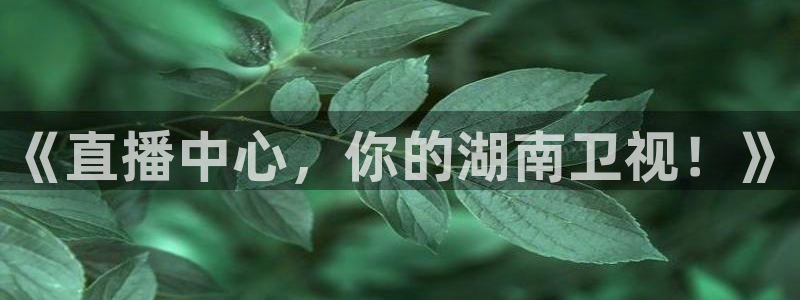 鲸鱼体育直播在线观看免费：《直播中心，你的湖南卫视！》