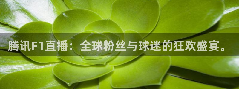 鲸鱼体育app官网版：腾讯F1直播：全球粉丝与球迷的狂欢盛宴。